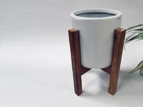 Gleaming Stars with Wooden Stand