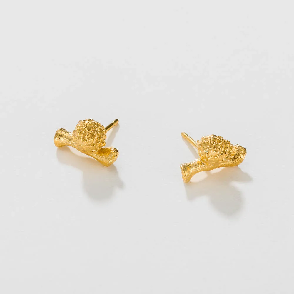 Round seed on a twig - stud earrings - silver 925 - gold plated